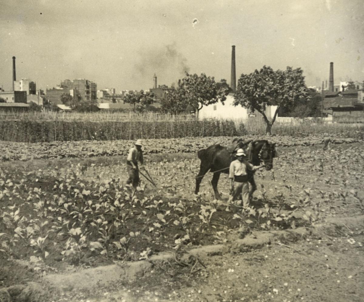 Tierras de cultivo de Can Salas, en Sants, con unas primeras fábricas ya al fondo.