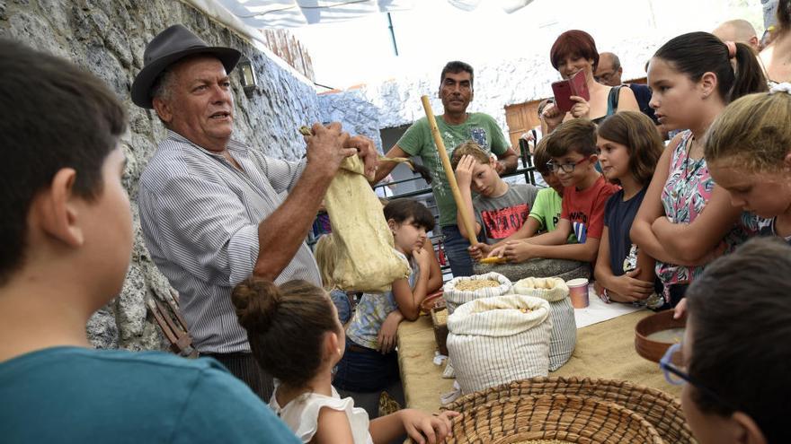 Tenerife: Proyecto "Descubre el origen de los alimentos"