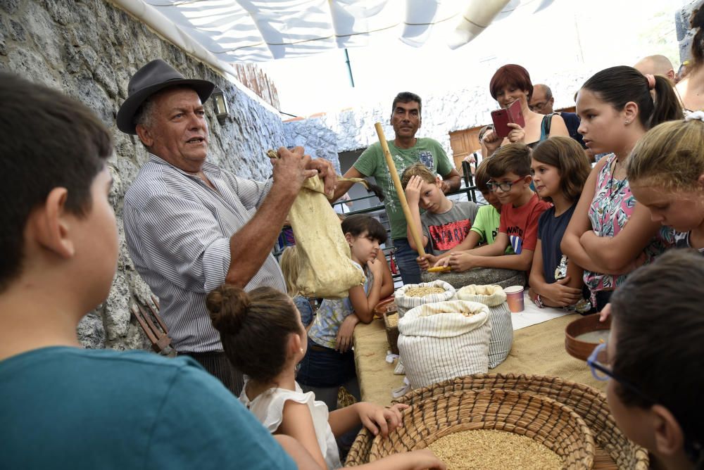 "Descubre el origen de los alimentos"