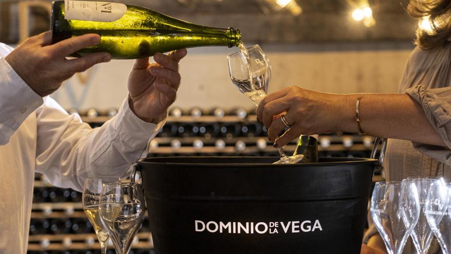Dominio de la Vega elabora el mejor cava ecológico del mundo