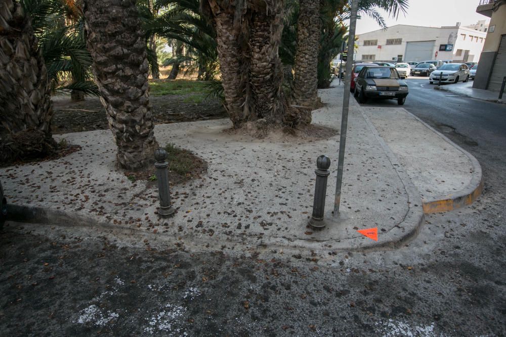 Suciedad en las calles de Elche por los dátiles