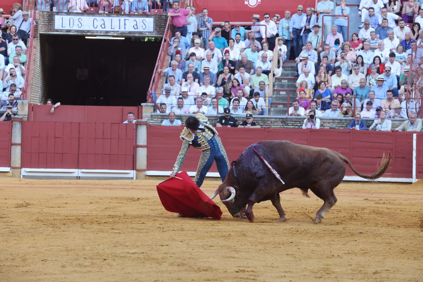 Román toma la alternativa y la puerta grande se abre para Roca Rey y Ortega