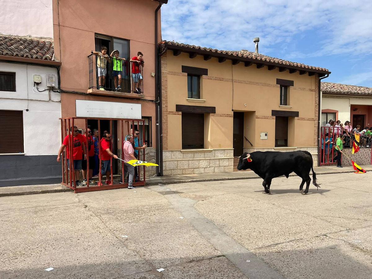 Morales de Toro, Fiestas de San Roque 2026