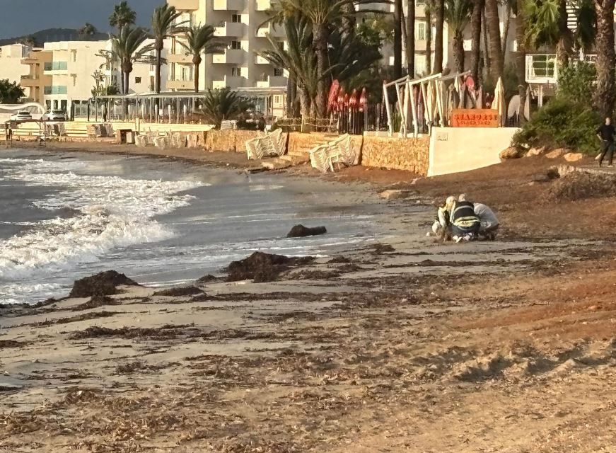 Encuentran el pie de una persona en Platja d'en Bossa