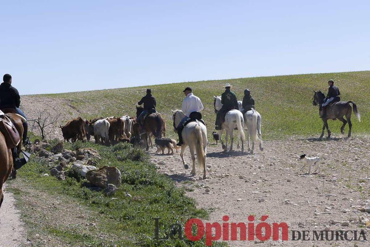trashumancia/Ganadería La Junquera_016