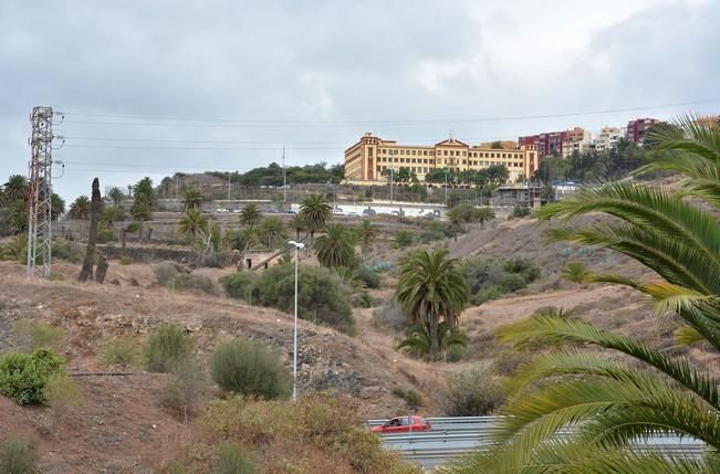 PALMERAL ENFERMO EN EL LAZO Y EL FONDILLO