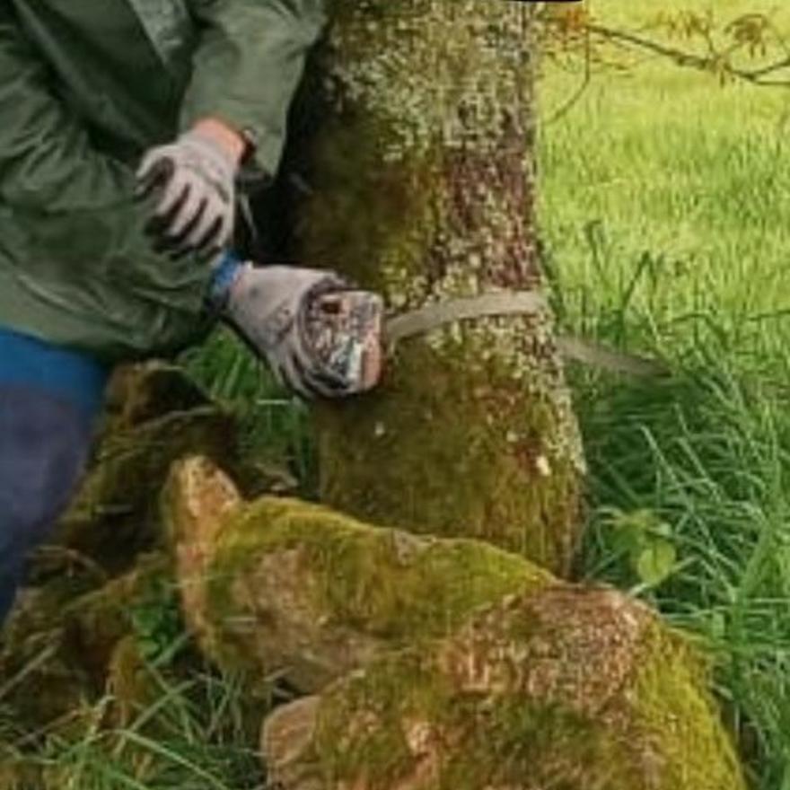 Colocación de una cámara en un monte del municipio.