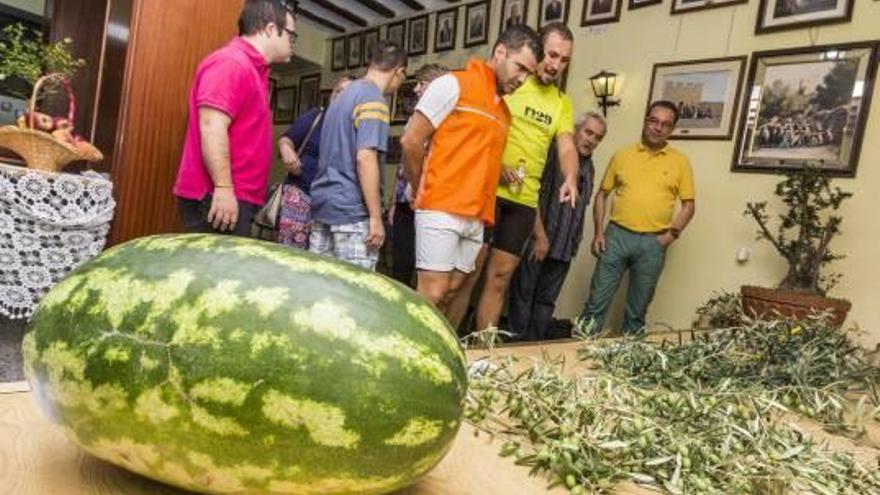 Uno de los frutos del concurso, durante la exposición.