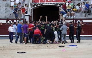 En libertad con cargos los 29 animalistas que saltaron a la plaza de toros Las Ventas