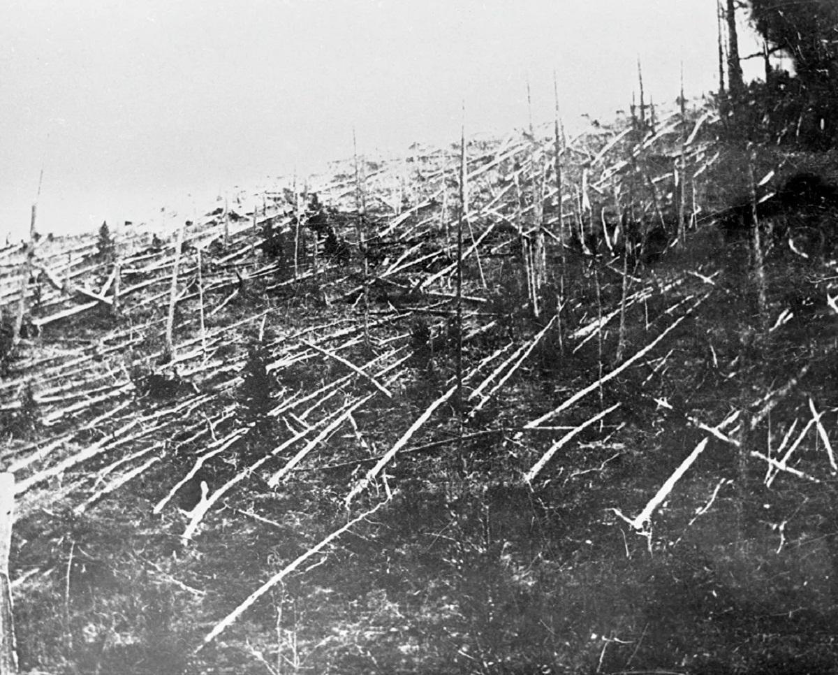 Imagen de los árboles aplastados por el bólido de Tunguska en 1908.
