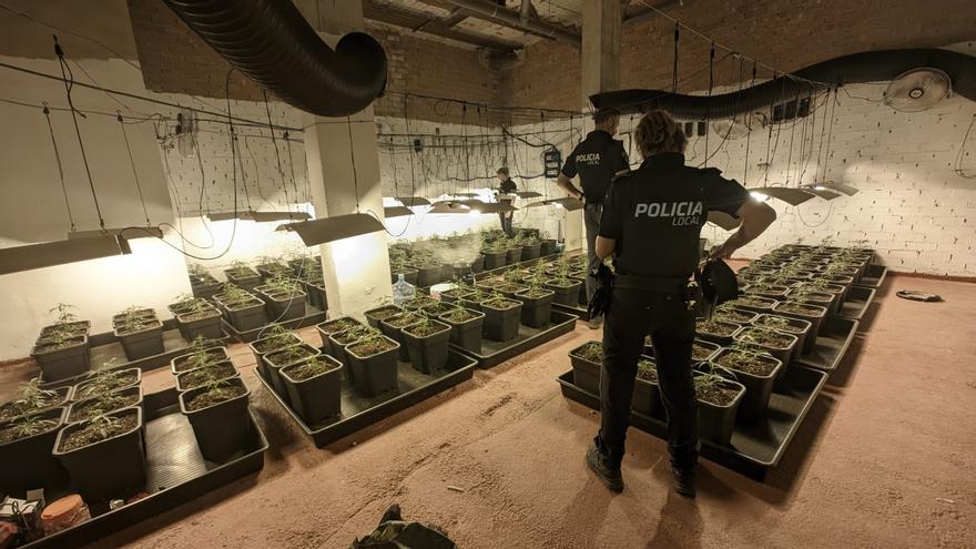 Descubren un criadero de marihuana en Burjassot al convertir el piso de los vecinos en un &#039;infierno&#039;