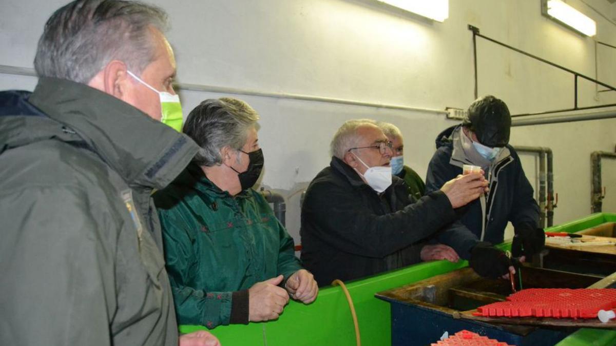 Por la izquierda, Santiago Traviesa, Emilio Fernández, Gil Rico, el guarda Elicio García y David Vidal, en la planta experimental de Pontigón. | A .M. S.