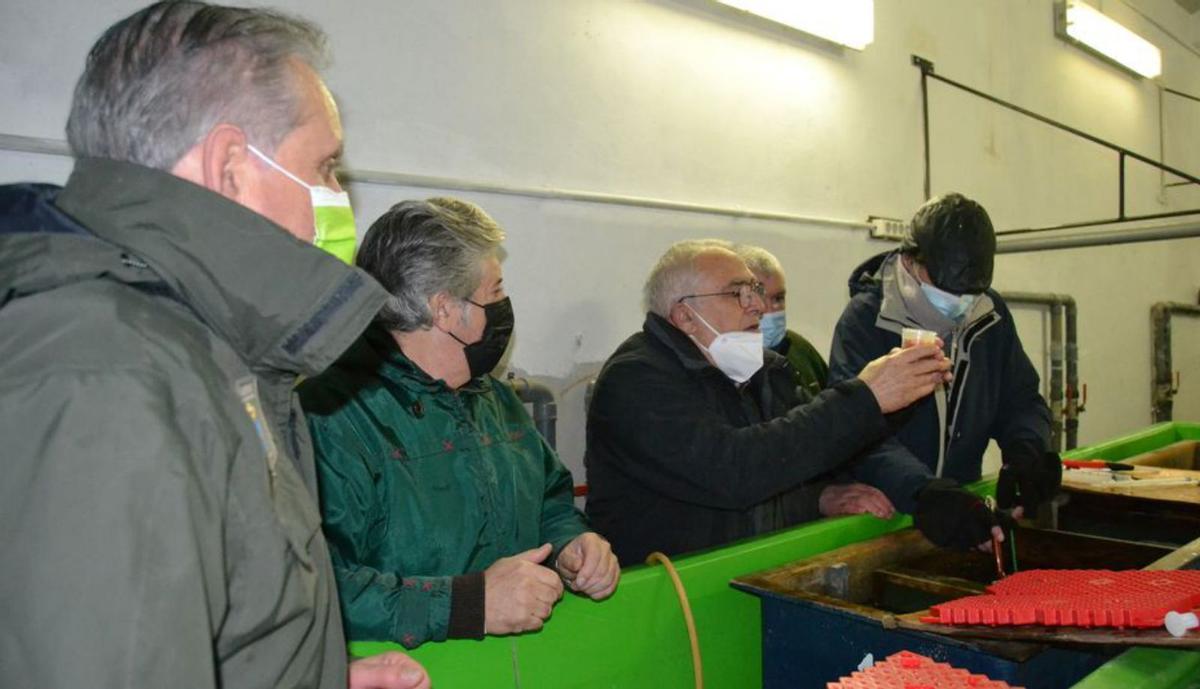 Por la izquierda, Santiago Traviesa, Emilio Fernández, Gil Rico, el guarda Elicio García y David Vidal, en la planta experimental de Pontigón. | A .M. S.