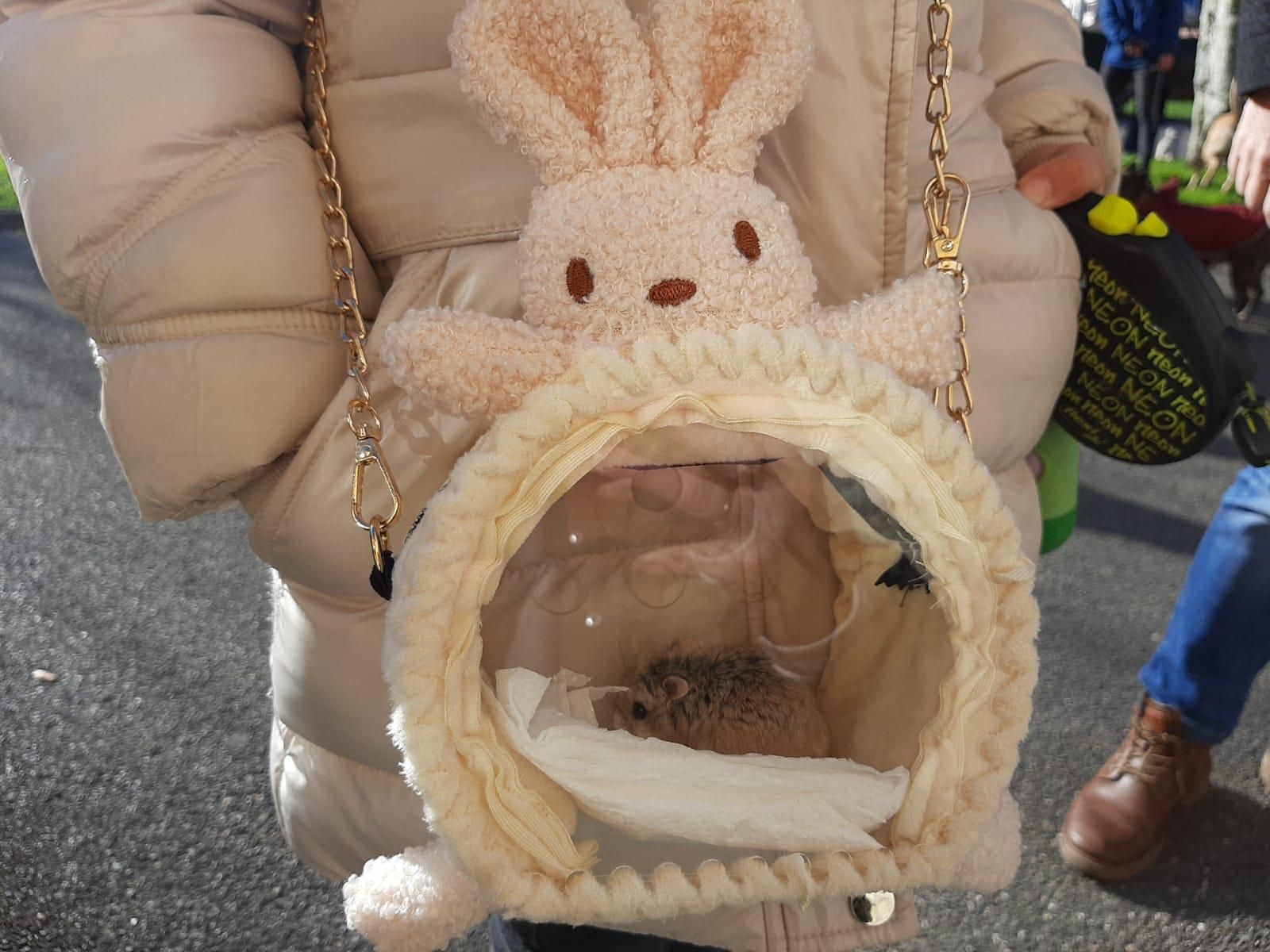Los animales, protagonistas en Lugones: el día de San Antón en imágenes