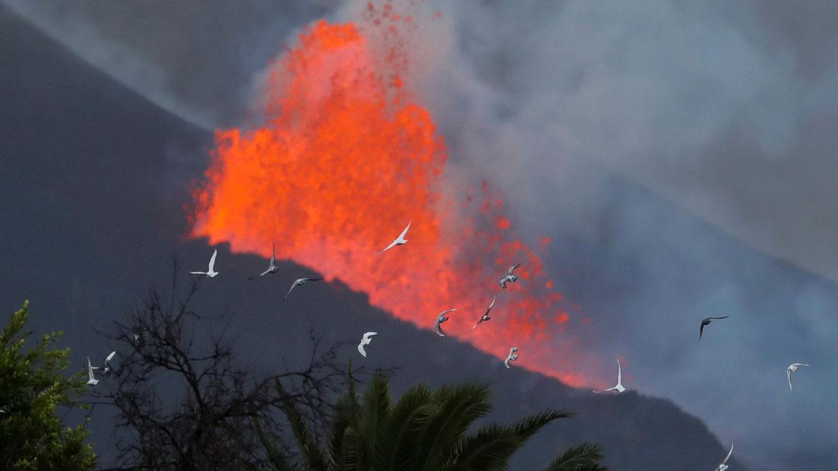 El volcà de Tajogaite es reactiva i la seva lava busca la costa de La Palma