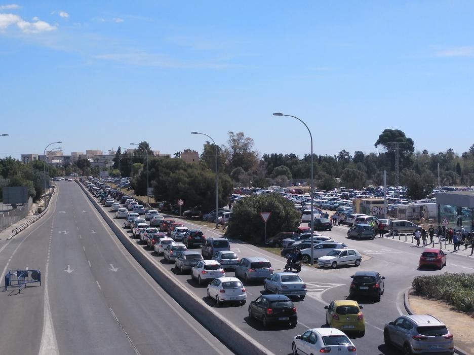 Miles de personas en el domingo de Santa Faz