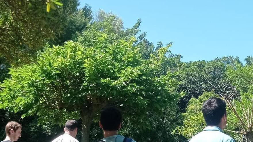 Talleres de verano de la Asociación Asperger Baleares: consulta las actividades, precios y horarios
