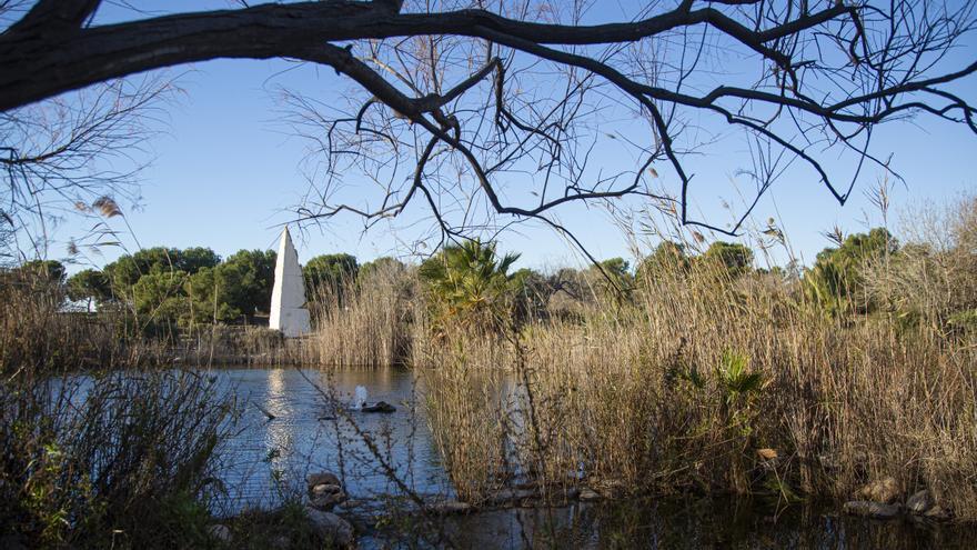 Plan de la Universidad ante el cambio climático: extender su isla de biodiversidad a las ciudades