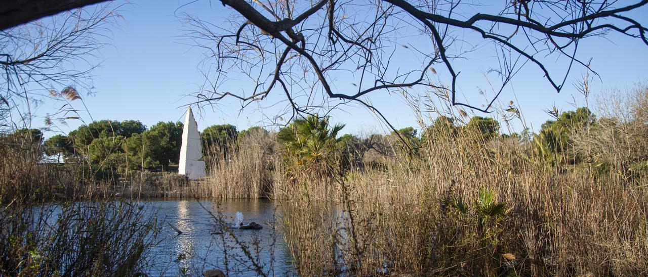 Entorno del Bosque Ilustrado, paraíso de la biodiversidad en el campus