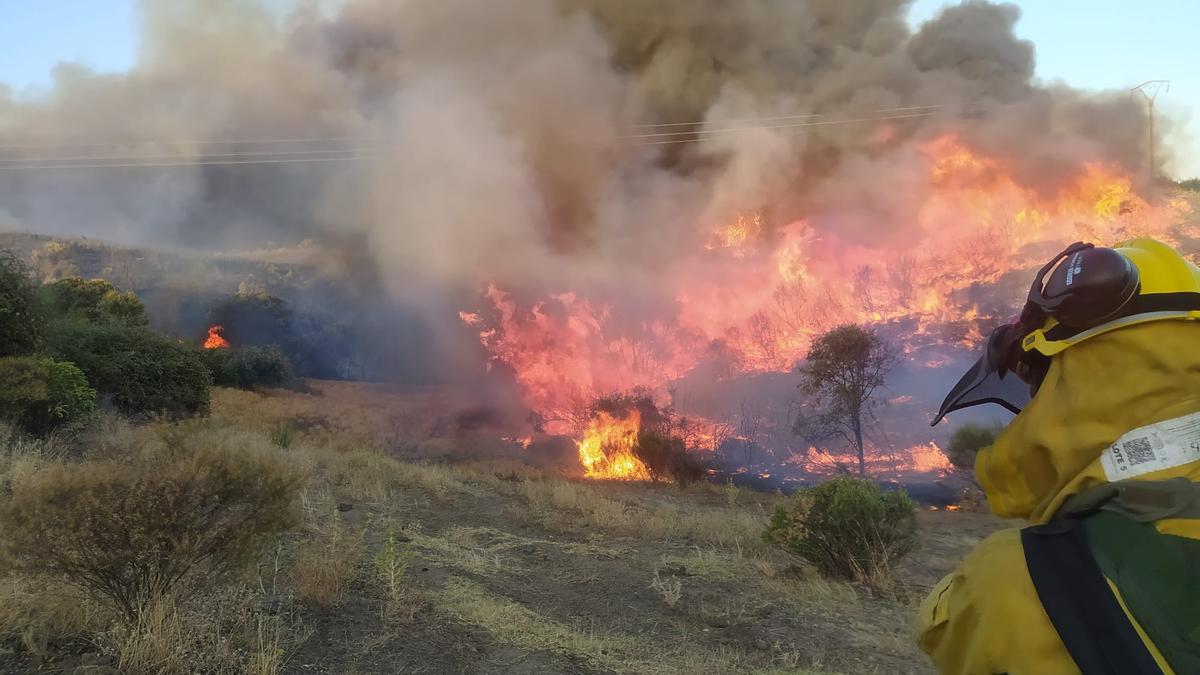 Imagen del incendio este sábado por la tarde cerca de Jaraíz de la Vera.