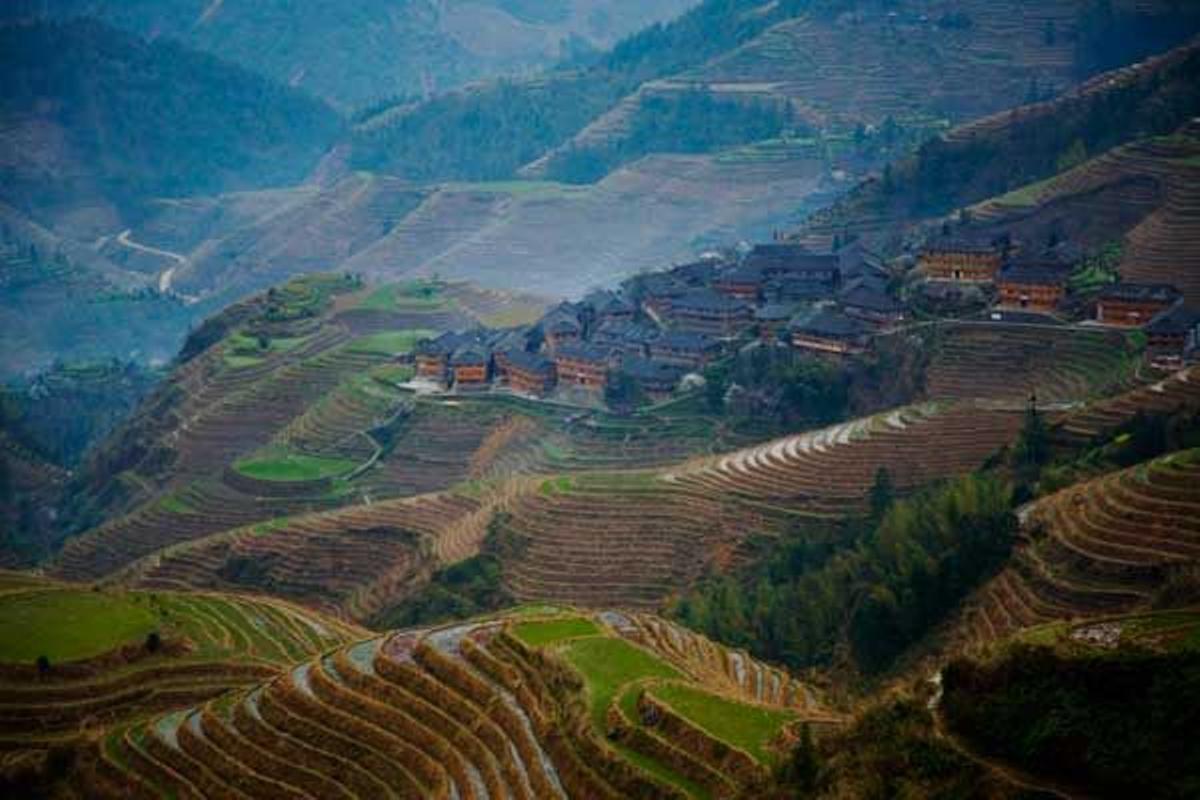 Vista de las terrazas de arroz de Longji, una pequeña villa habitada por la minoría étnica Miao en las montañas de Longshen.