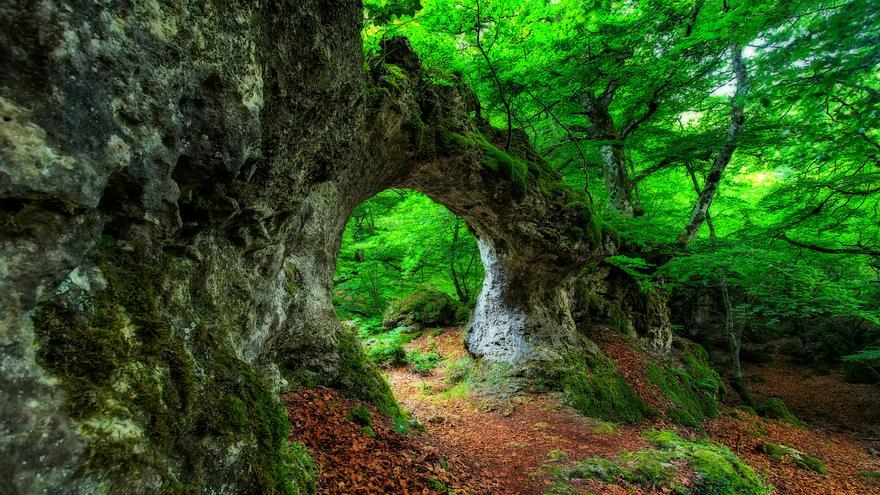 Recorre un bosque milenario y un laberinto de cuento: la ruta de senderismo más espectacular de España está en el País Vasco