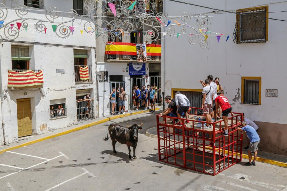 "Entrà de les Vaques" de Tibi