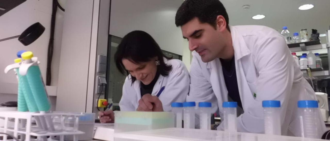 Los laboratorios de EpiDisease tienen varios kits de diagnóstico en fase de desarrollo.