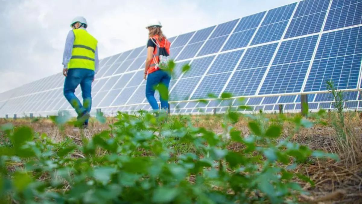 Soltec apuesta por la ecovoltaica en la lucha contra el cambio climático