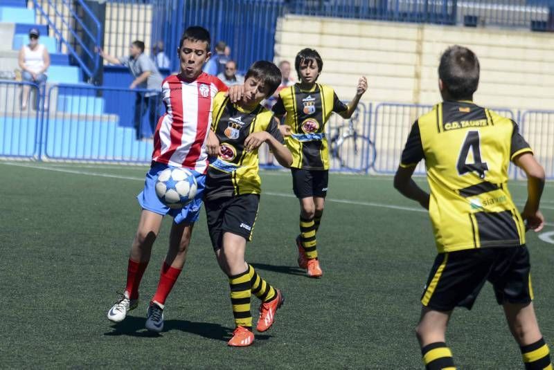 FÚTBOL: Tauste A - Teruel A (Alevín)