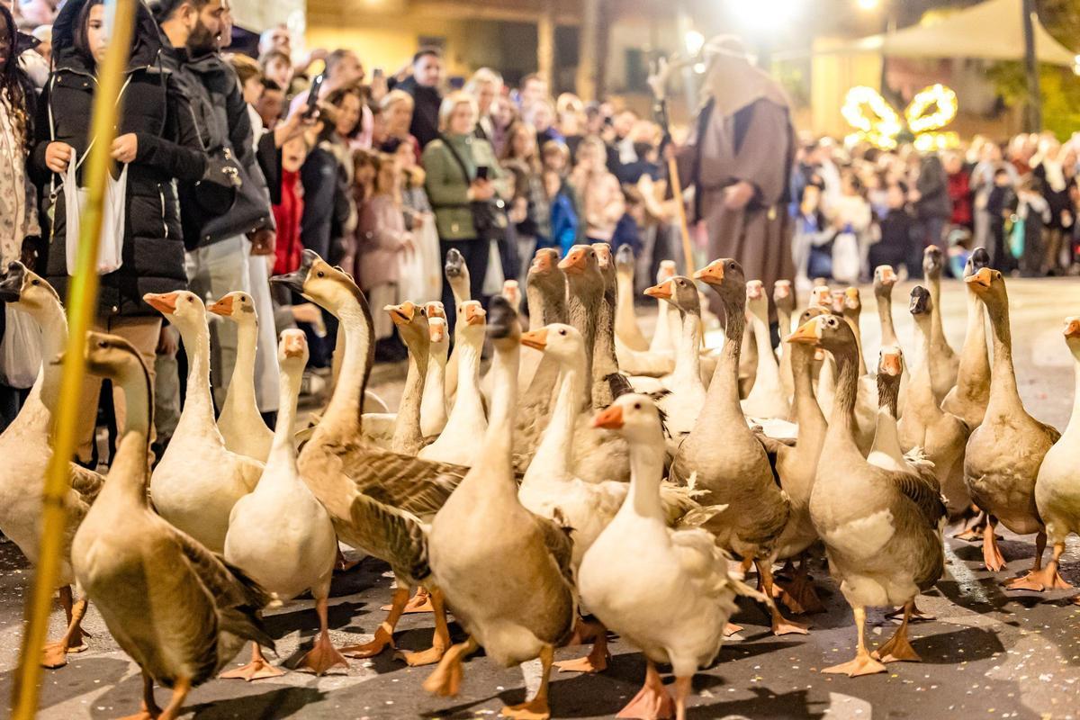Benidorm celebra la Cabalgata de los Reyes Magos