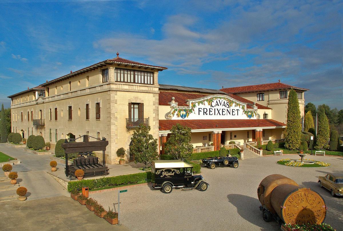 24284971 59-freixenet