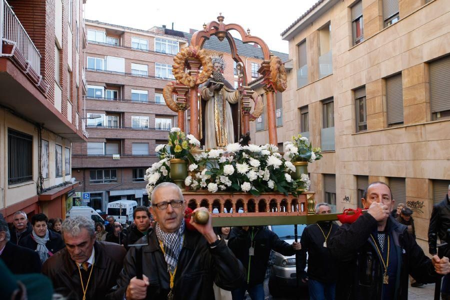 Los perros gobiernan por san Antón en Zamora