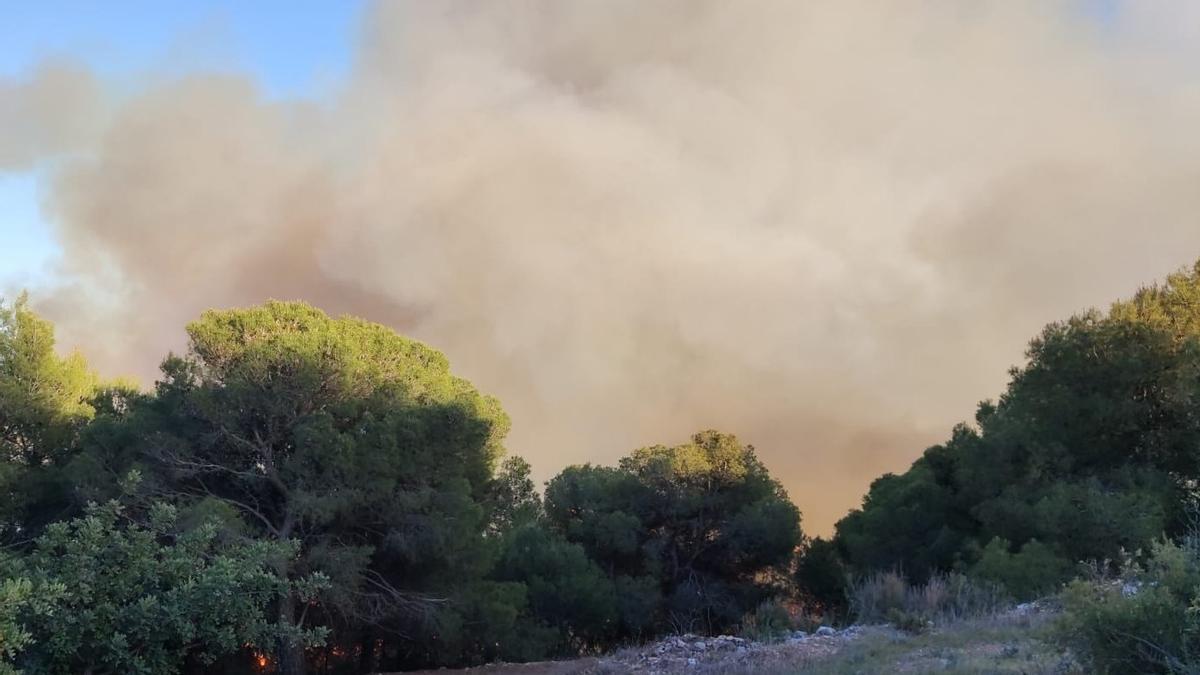 El incendio en Yunquera se inició en la zona de La Fontanilla.