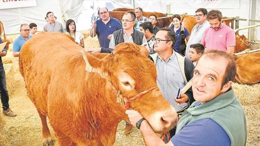 La Junta aprueba un plan para hacer más rentable la ganadería extensiva