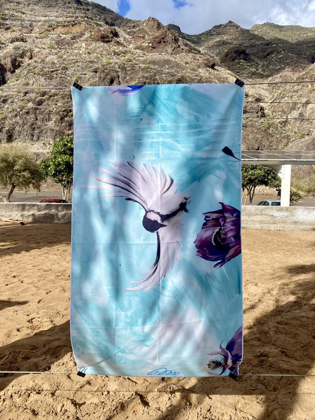 Exposición de toallas en Las Teresitas