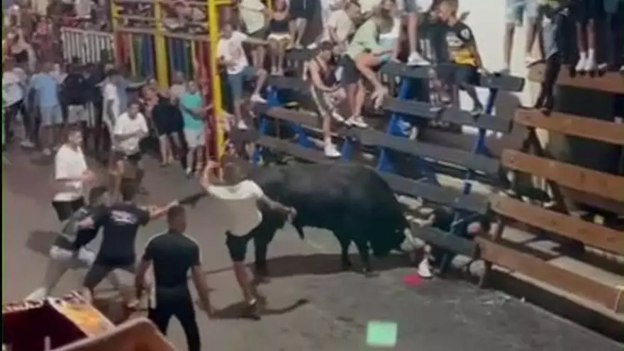 Grave cogida en los "bous al carrer" de Calp: un toro embiste y se ensaña con un joven