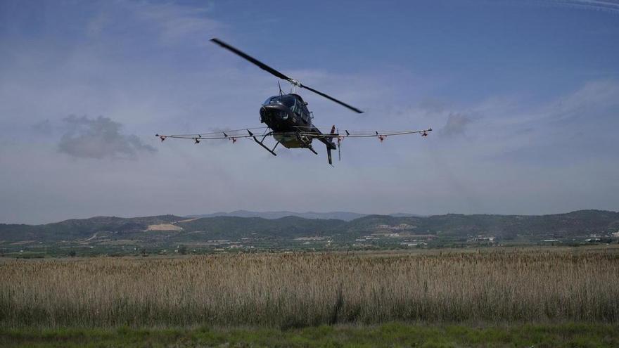 Burriana volverá a fumigar contra los mosquitos por aire después de 10 años