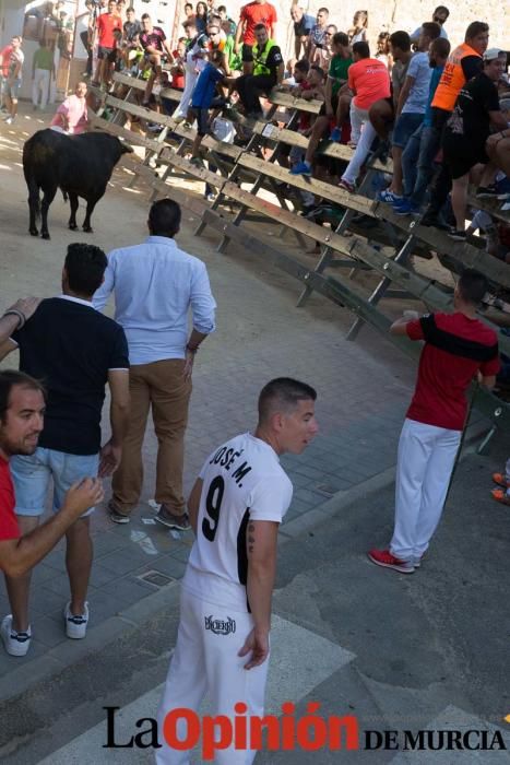 Primer encierro de Calasparra