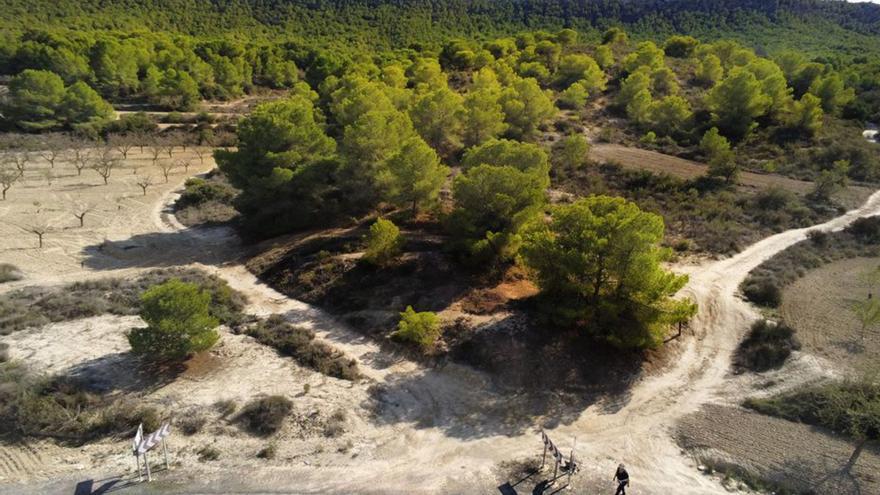 La Generalitat avanza en la normativa para que Sierra Escalona sea parque natural