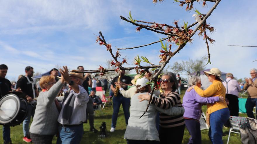 Disfruta del Almendro en Flor en Garrovillas de Alconétar