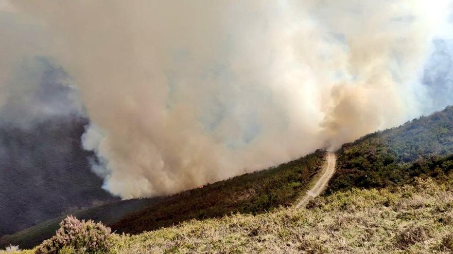 Un incendio en Iboyo (Allande) obliga a movilizar a los Bomberos del SEPA y la brigada de Tineo