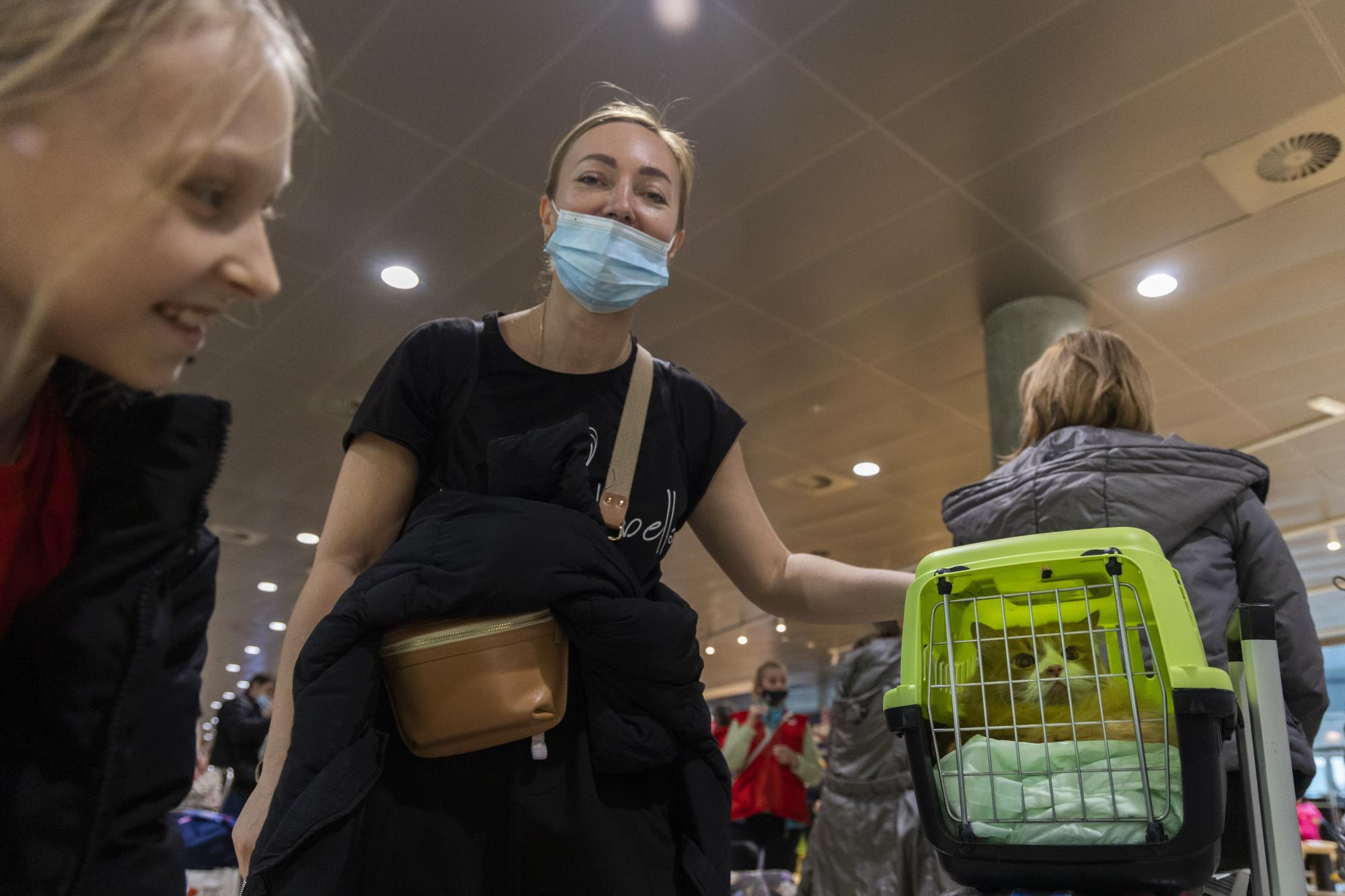 Llega a València un avión con 14 menores ucranianos con discapacidad