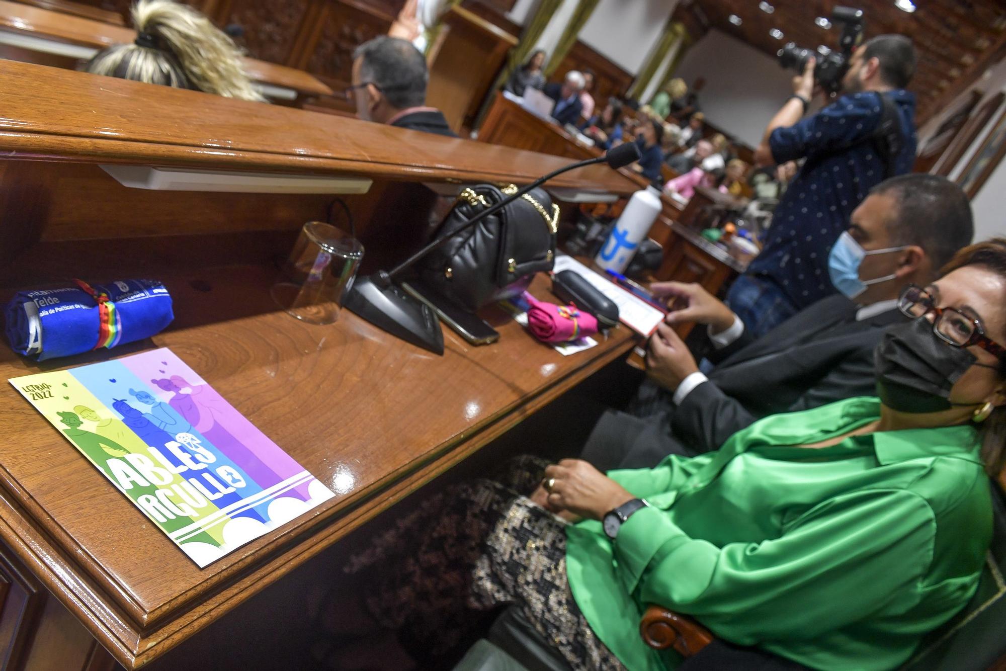 Pleno del Ayuntamiento de Telde (30/06/22)