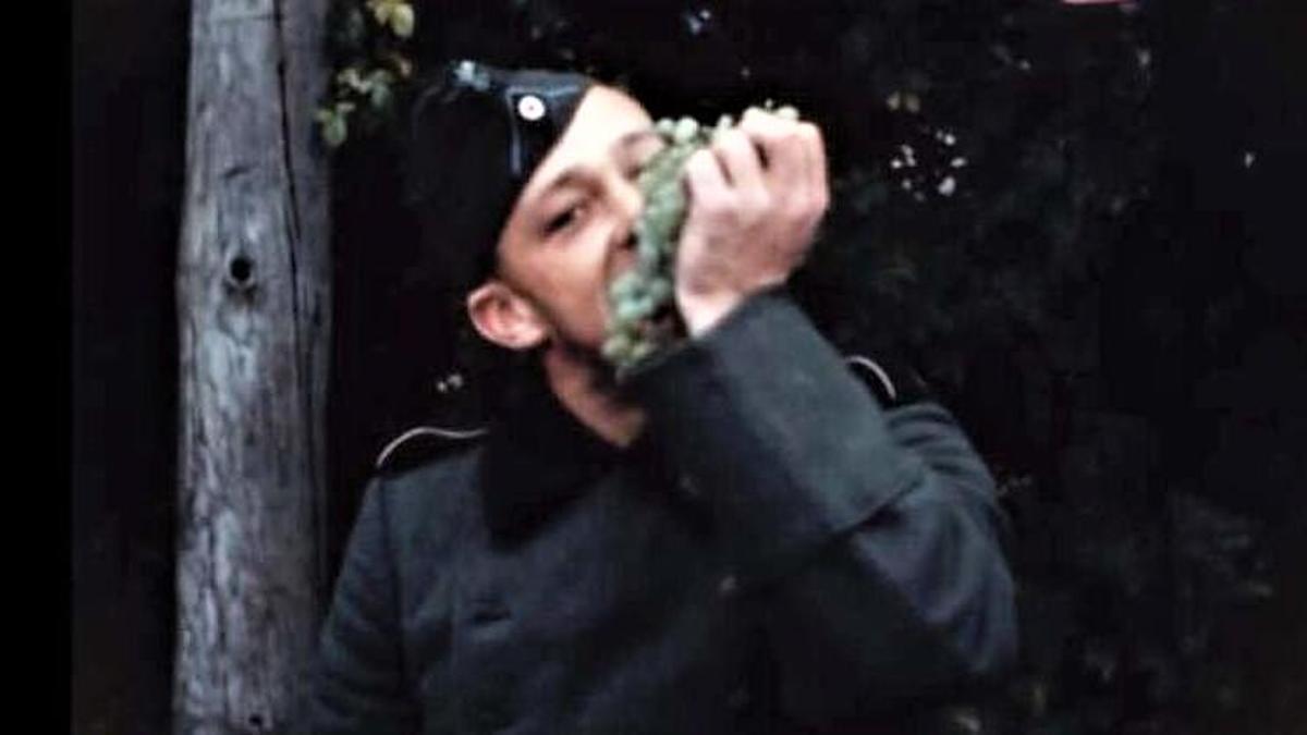 Fotograma del documental 'Les Raisins du Reich: La Collaboration dans les Vignes', que se proyecta en el Most Festival.