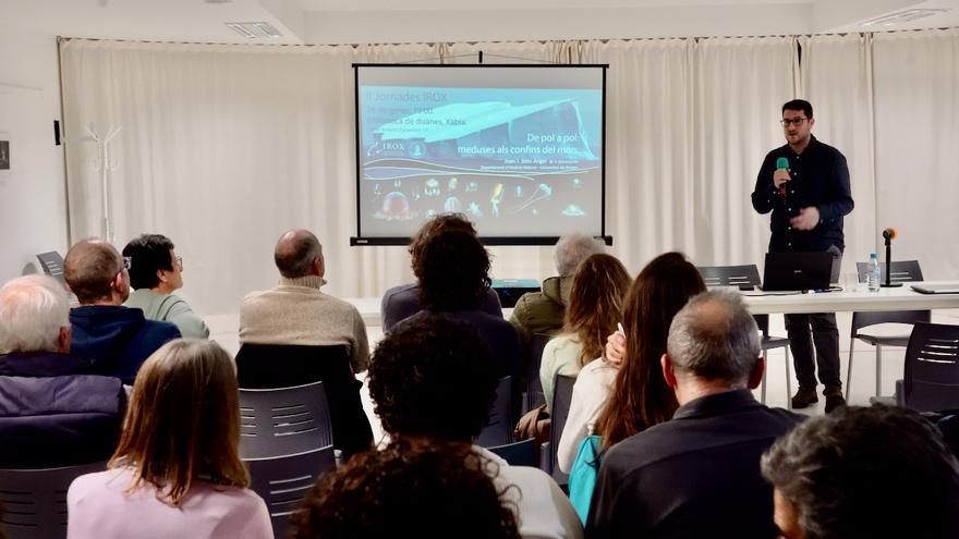 El valenciano que ha viajado a los polos para saber más de las medusas: &quot;No son nuestros enemigos&quot;