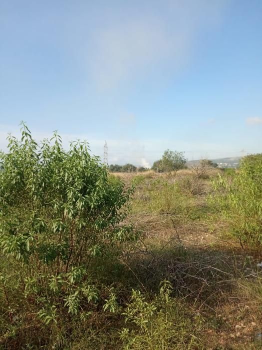 Vista del incendio, a media mañana, desde el Pantano.