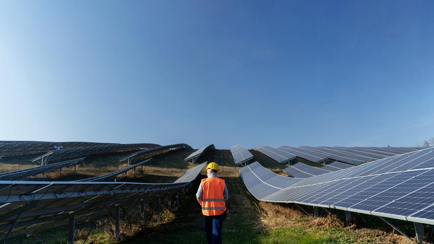 Cómo las energías renovables están recuperando la fauna local en Málaga