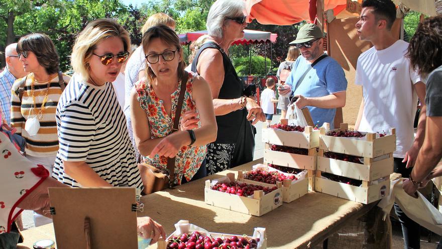 La Salzadella cautiva a cientos de visitantes como paraíso de la cereza