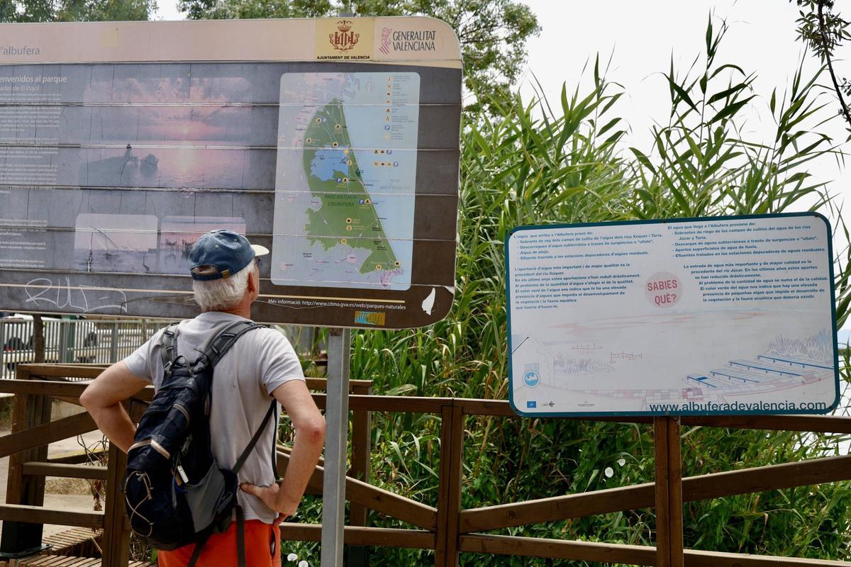 La salinización avanza en l'Albufera